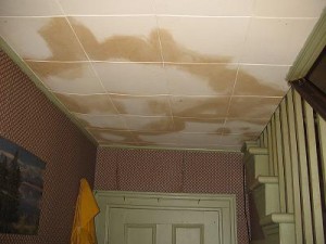 Water Damage Roof Leak New Brunswick